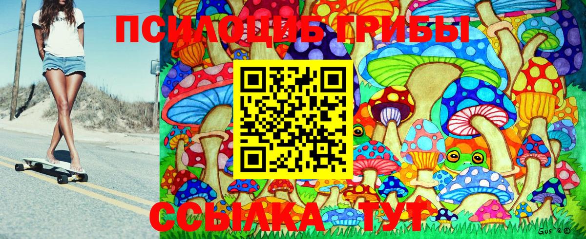 Приморско-Ахтарск  Псилоцибиновые грибы Psilocybine cubensis  купить  сайты  Вход с VPN 